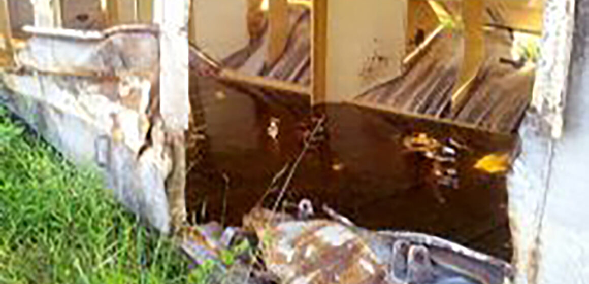 Ecatu vai a Justiça contra ALL pelo fim do cemitério de vagões