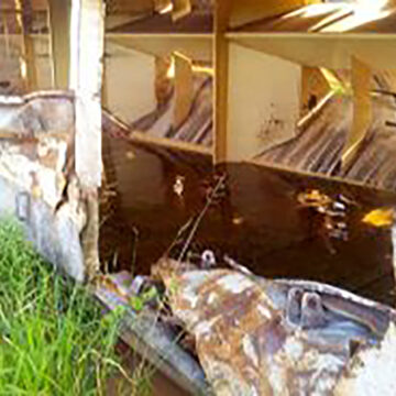 Ecatu vai a Justiça contra ALL pelo fim do cemitério de vagões